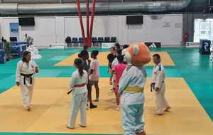 PARAJUDO SHOW