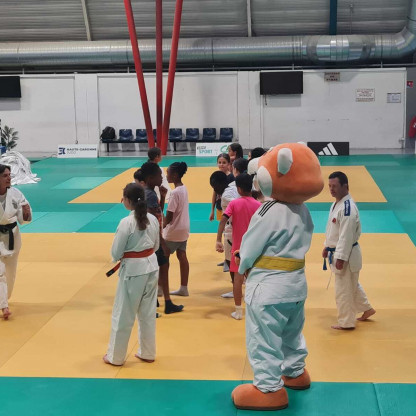 PARAJUDO SHOW ET COUPE DE FRANCE - PARAJUDO SHOW